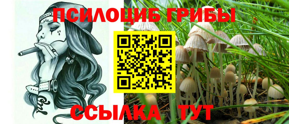 Галлюциногенные грибы Psilocybine cubensis  Вход с VPN  Галлюциногенные грибы мухоморы  купить наркоту  Ижевск 